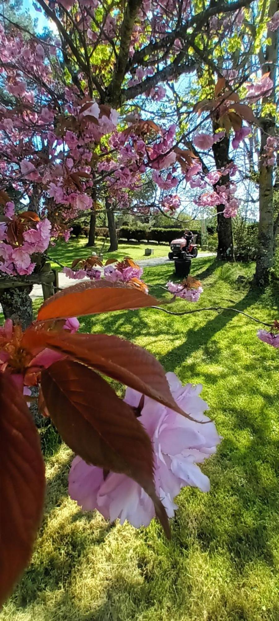 Vvf Haute Loire Saint-Julien-Chapteuil Buitenkant foto